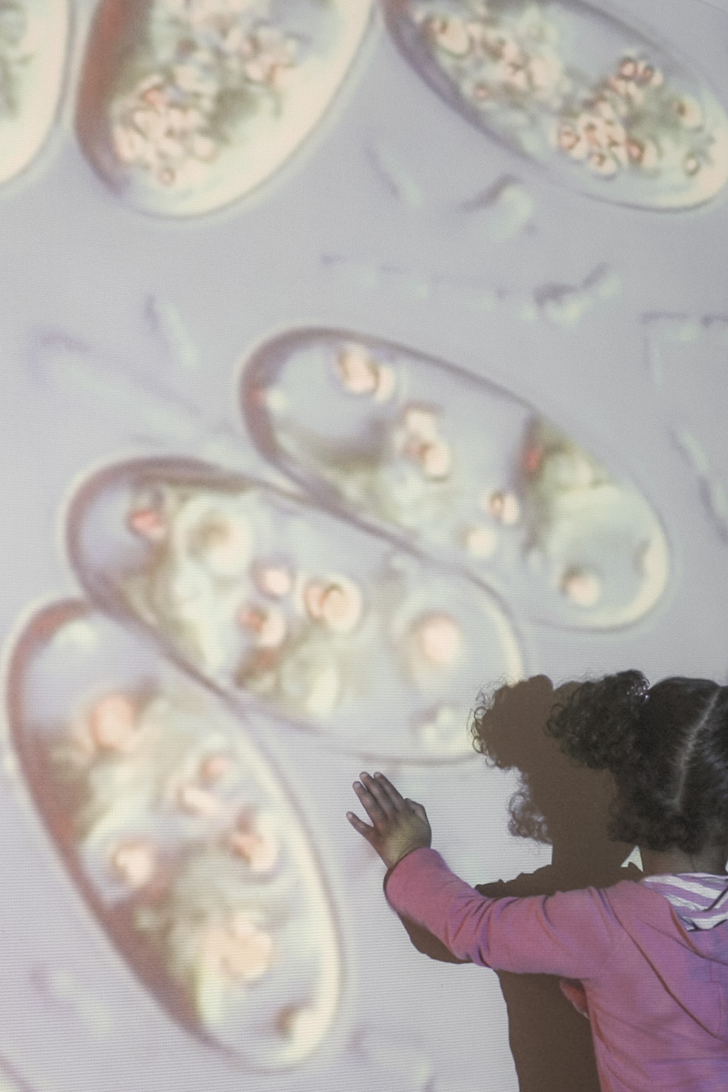 From Bacteria to Galaxies Project Detail 1