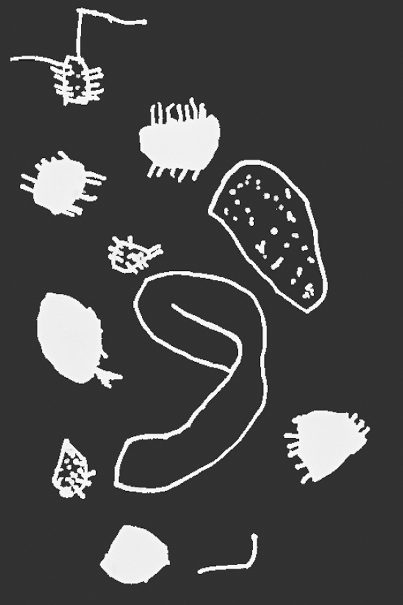 From Bacteria to Galaxies Project Detail 2