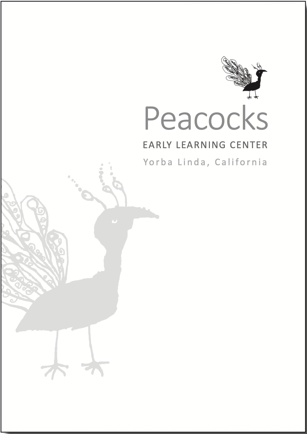 Reggio Approach in California