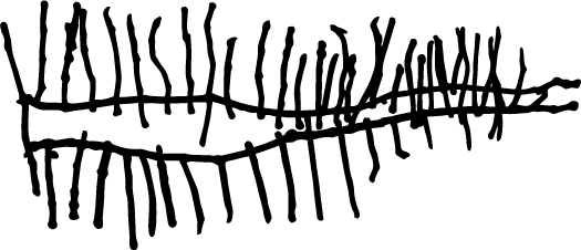 Professional Learning Icon
