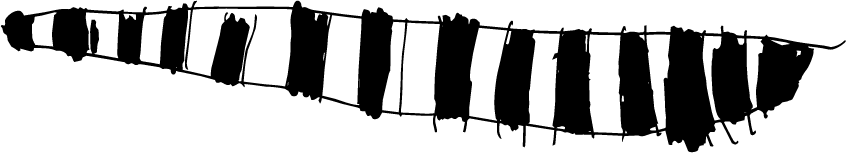 Documentation & Visible Learning Icon